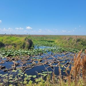 Meet your Posher, Susann